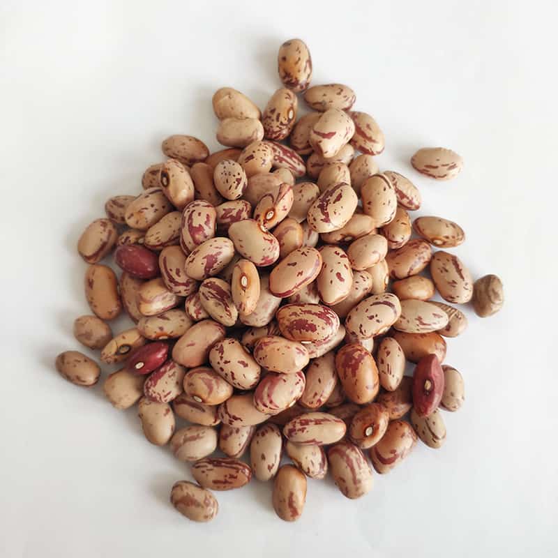 خرید و قیمت لوبیا چیتی خمین اراک + فروش صادراتی